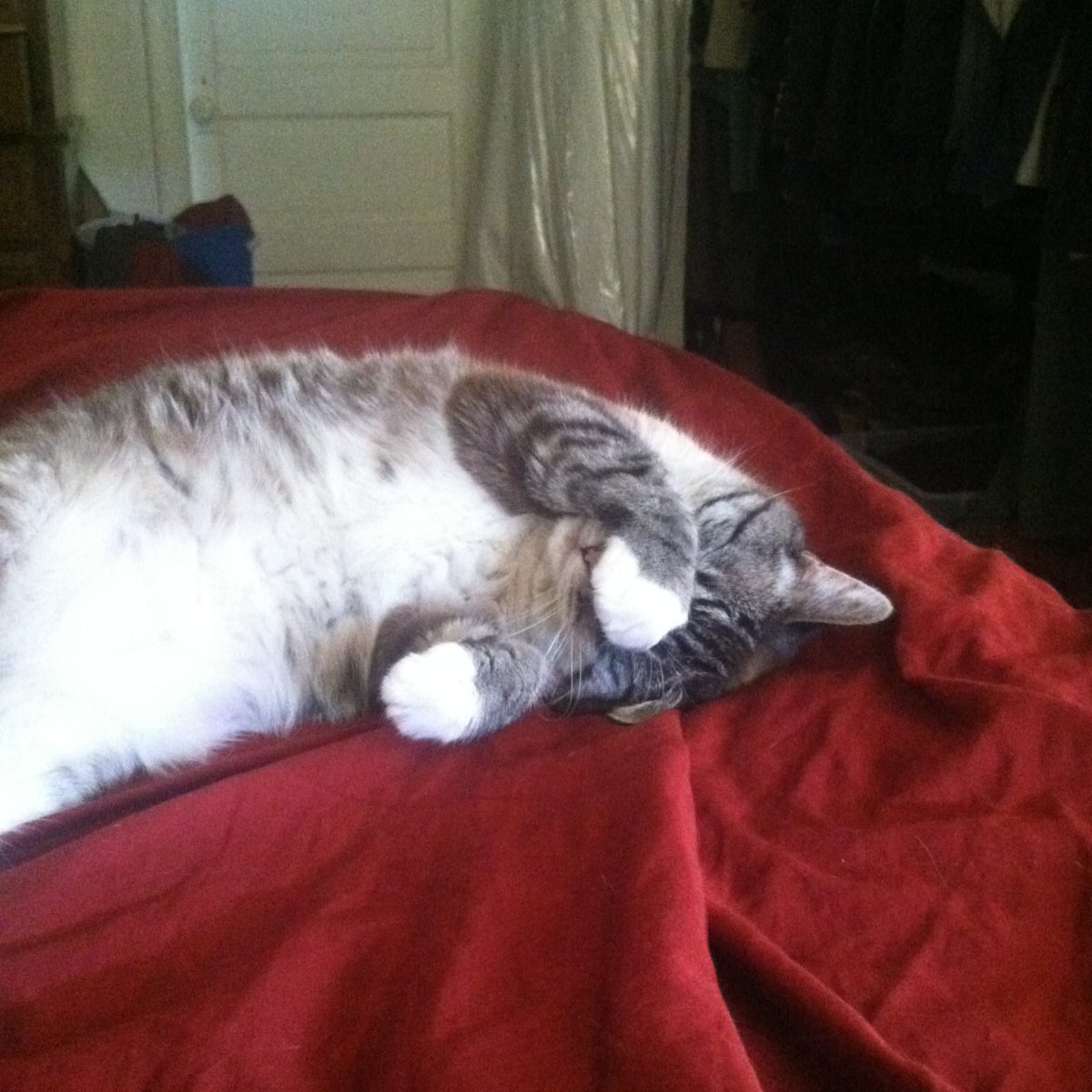 Writing buddy extradinaire
