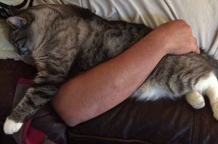 Erin Wright Western Romance author